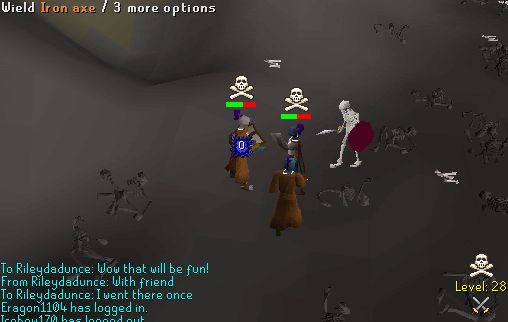 skullpking.jpg